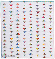 Use Up ALL Your Scraps with Quilts for Scrap Lovers