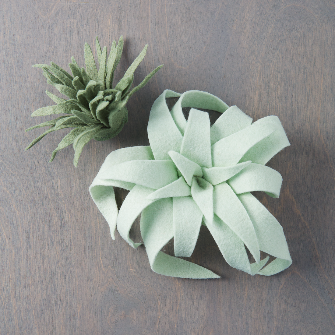 Free Project: Felt Air Plants