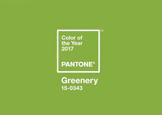 Pantone's 2017 Color of the Year: Greenery