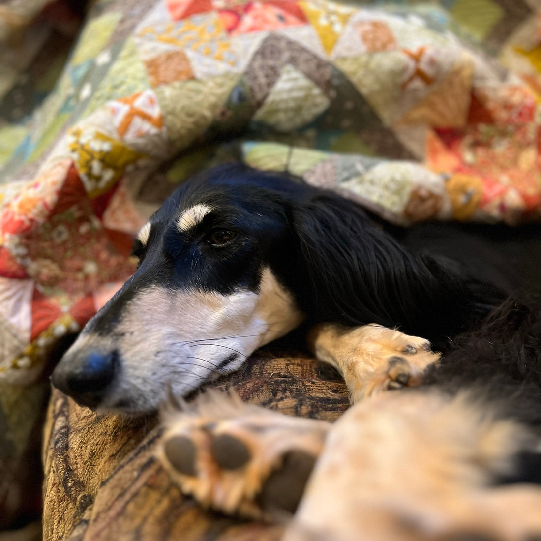 3 Guidelines to Create a Truly Original Quilt