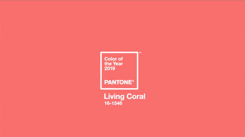 Pantone's 2019 Color of the Year: Living Coral