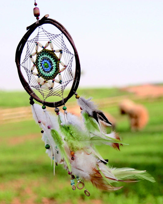 The Origin of the Dream Catcher from Create Dream Catchers