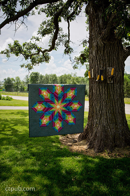 Amish-Inspired Quilts for Today's Home Digital Download