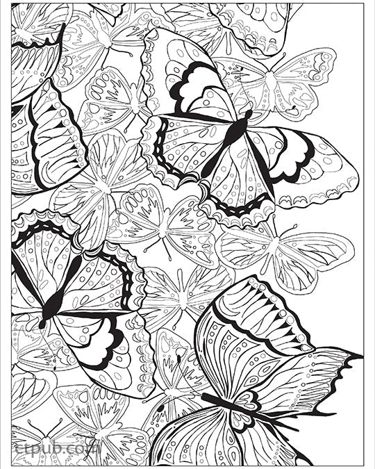 Explore the Boho Designs Coloring Digital Download by FunStitch Studio—a detailed black-and-white page with intricately patterned butterflies in motion, featuring bold wing designs perfect for colorful creativity inspired by the color wheel.
