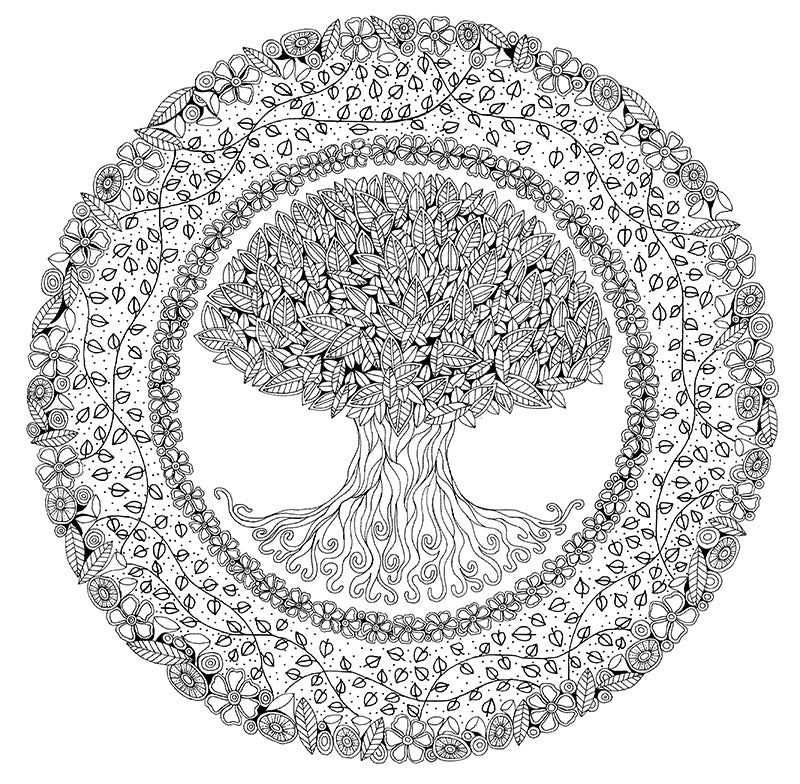 Enchanted Grove Mandala Coloring Book