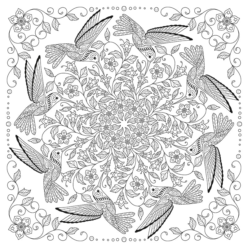 My Bird Mandala Coloring Book