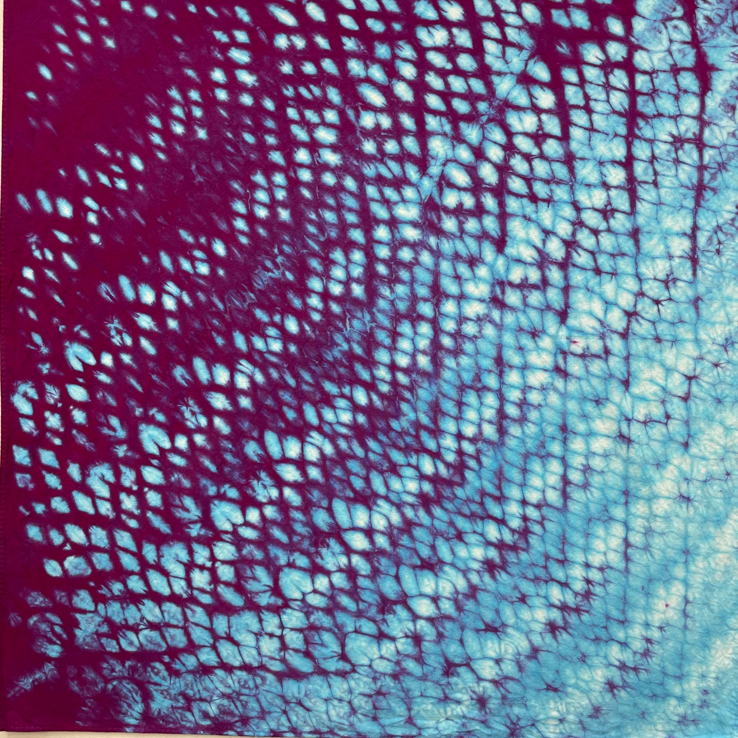 Dynamic Dyeing: Shibori Color & Pattern