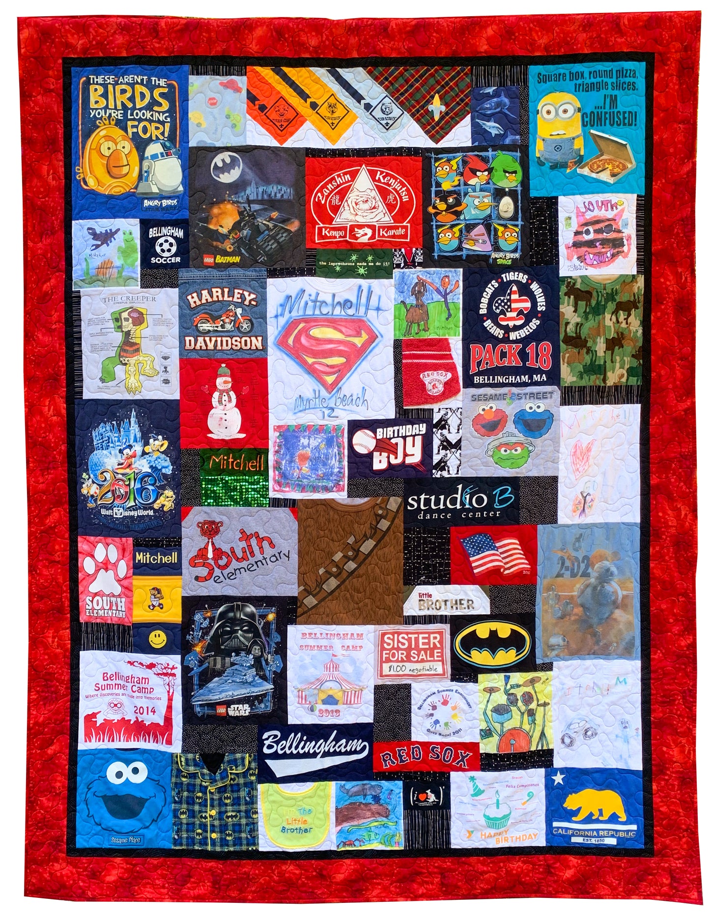 More Than a T-Shirt Quilt