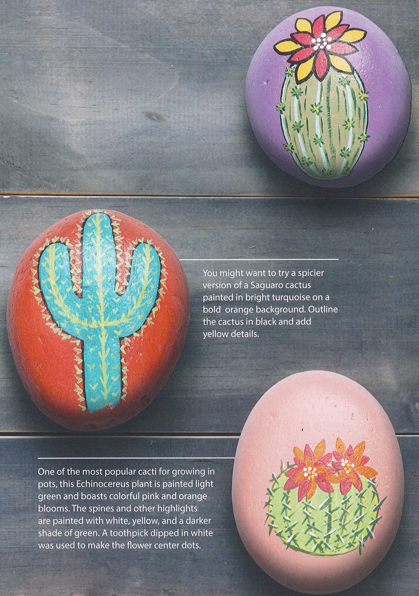 From Rock Painting—30 Creative Designs and Inspirational Techniques by Leisure Arts: Three stones are painted in vibrant acrylics—a saguaro with red and yellow flowers on purple, a blue saguaro on red, and a round cactus with pink blossoms on pale pink.