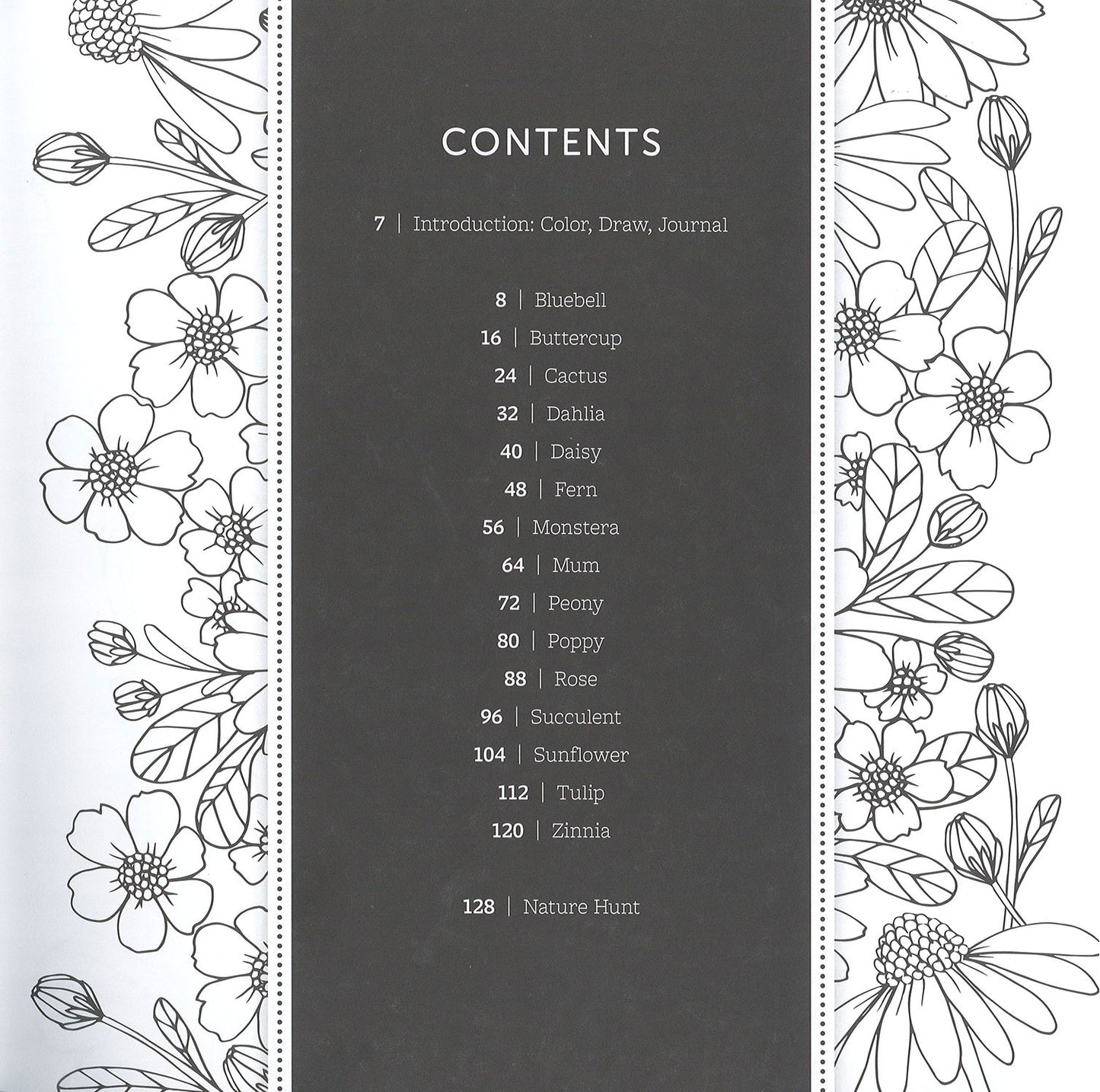 The Colors of Nature by Leisure Arts features a table of contents listing 18 flowers with pages, framed by black-and-white floral borders. White text on a dark, dotted-edge background creates a wild, free charm—ideal as a draw and sketch book.