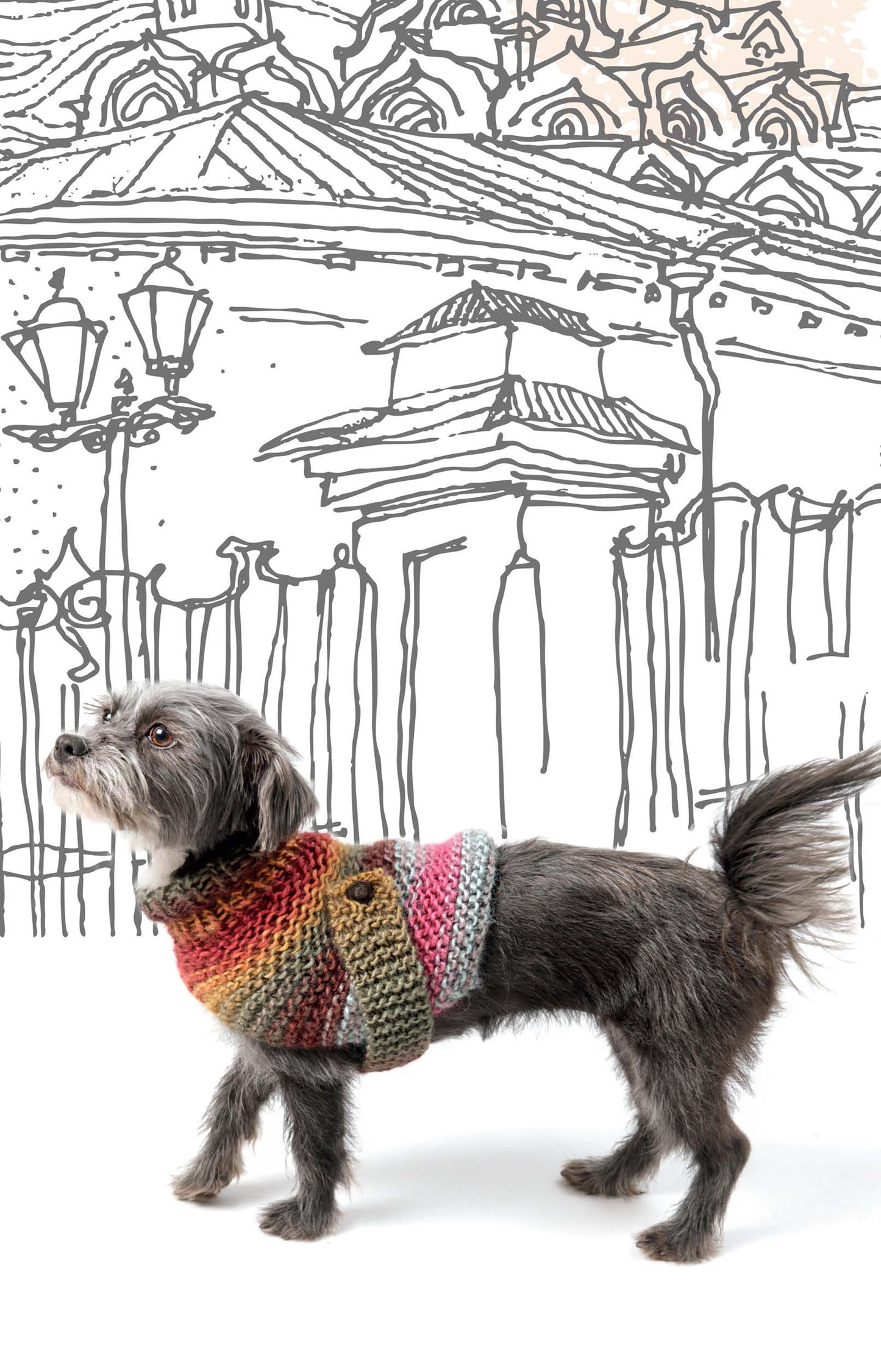 A small gray dog in a vibrant sweater from "Knits for Pets" by Leisure Arts stands before a black and white classical architecture sketch with columns, street lamps, and ornate rooftops.