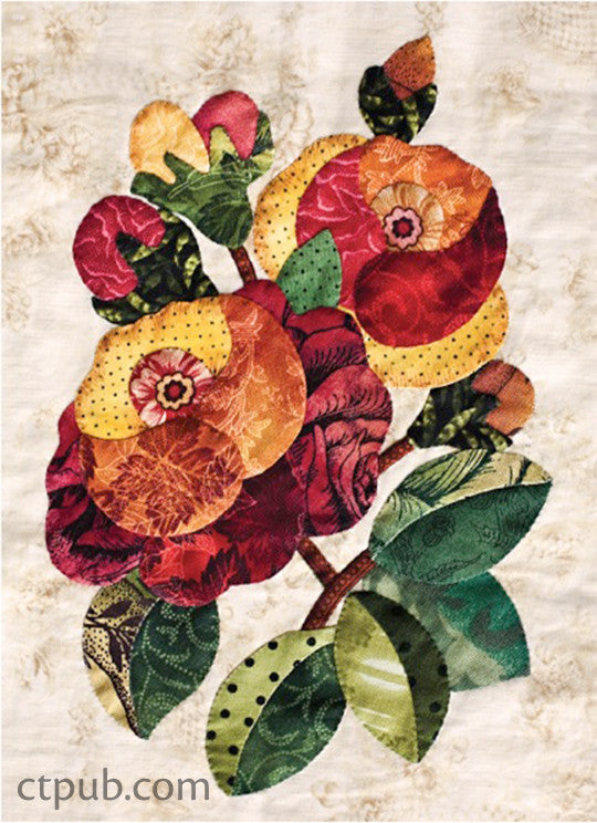 Baltimore Album of Roses Class Plan