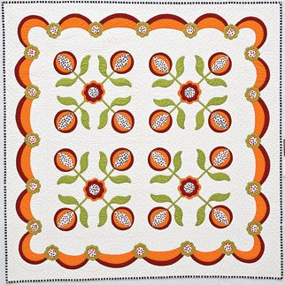 Alex Anderson's Hand & Machine Appliqué