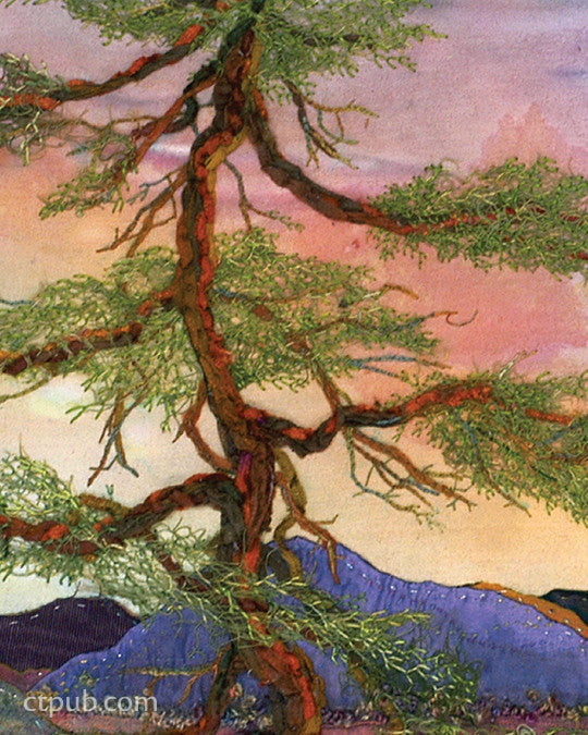 Free-Form Embroidery with Judith Baker Montano