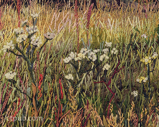 Free-Form Embroidery with Judith Baker Montano