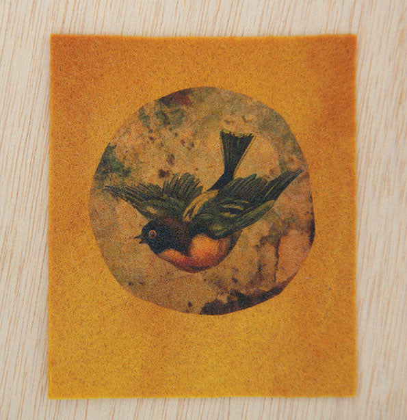 TAP Transfer Artist Paper