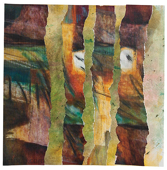 Mixed-Media Master Class with Sherrill Kahn Print-on-Demand Edition