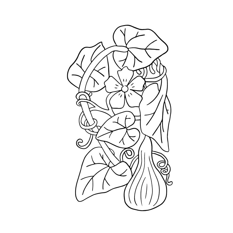 A black and white line drawing of a squash plant with leaves, tendrils, flower, and fruit—ideal for adding charm to personalized quilt labels in More Best-Ever Iron-On Quilt Labels by C&T Publishing.