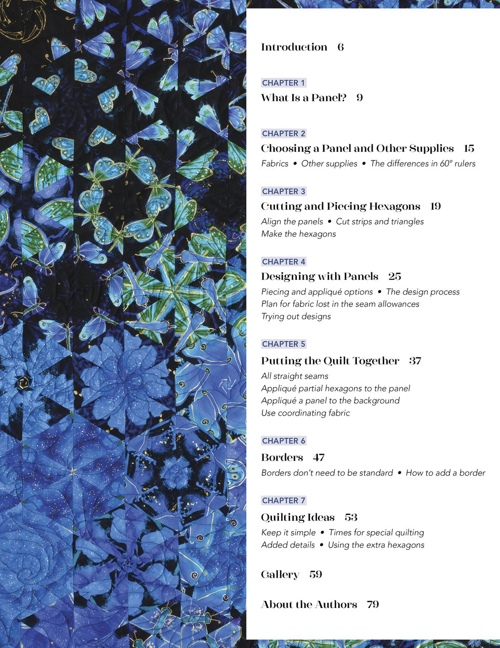 One-Block Wonder Panel Quilts