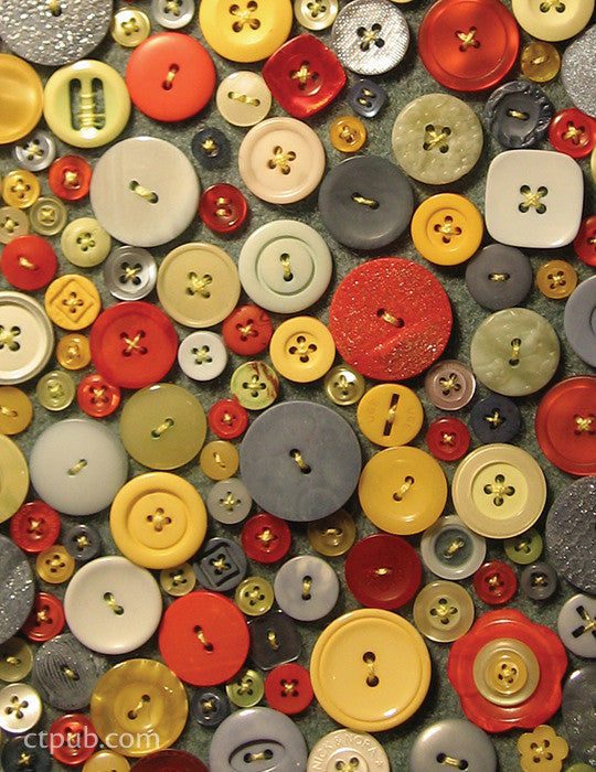 Point, Click, Quilt! Turn Your Photos into Fabulous Fabric Art Print-on-Demand Edition