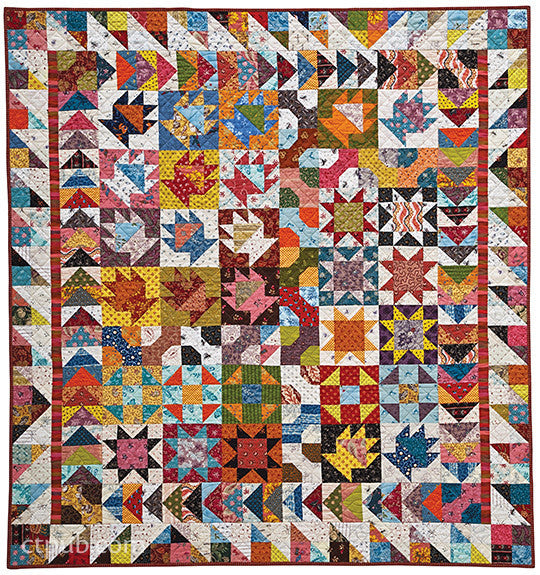 Scrap Quilting with Alex Anderson Digital Download