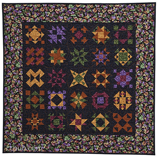 The Loyal Union Sampler from Elm Creek Quilts Print-on-Demand Edition