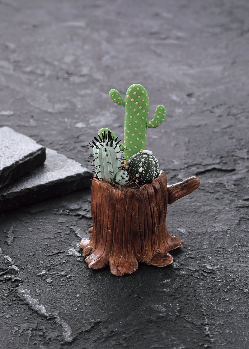 Clay Succulent Garden