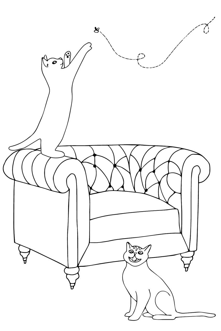 Domestic Divas - Dogs, Cats, Couches & More