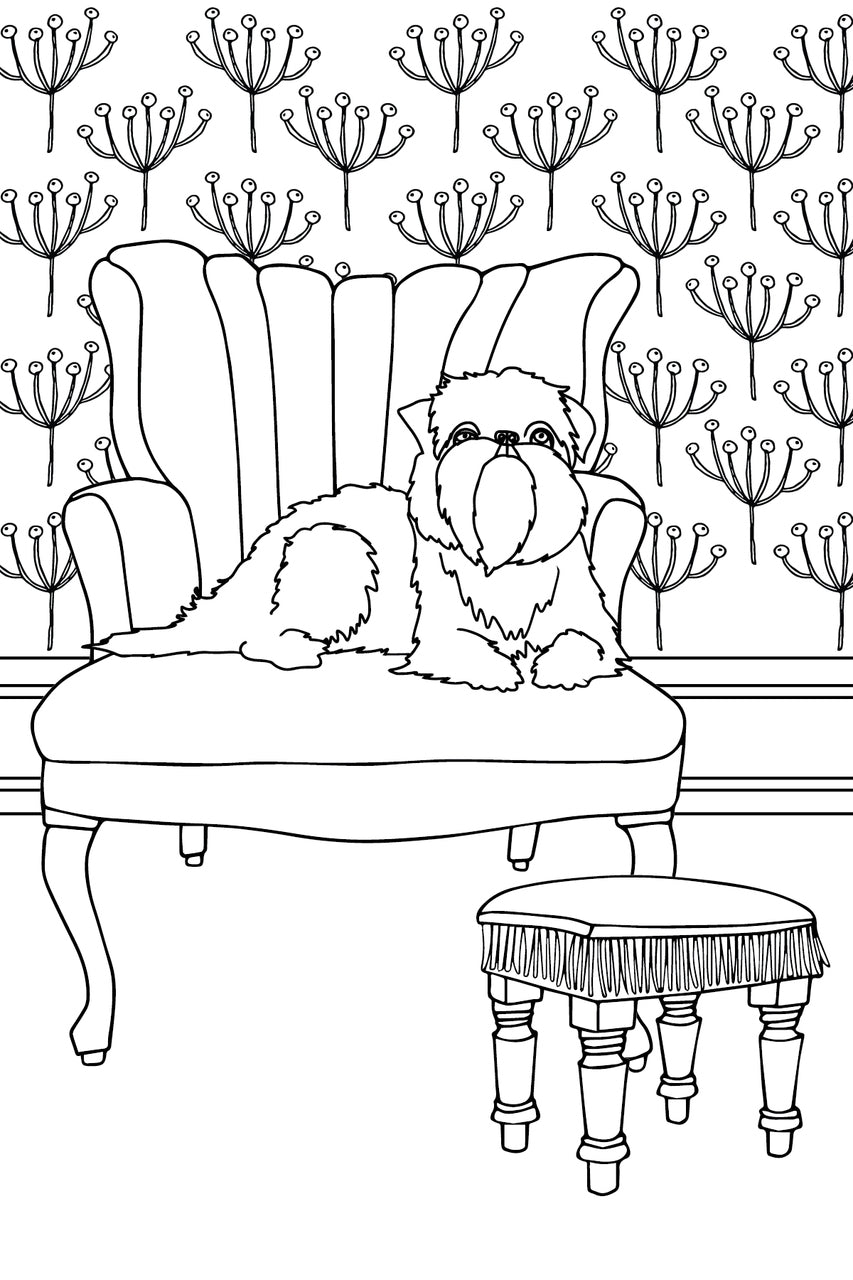 Domestic Divas - Dogs, Cats, Couches & More