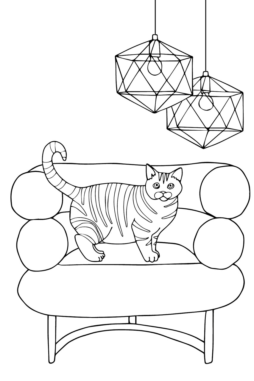 Domestic Divas - Dogs, Cats, Couches & More
