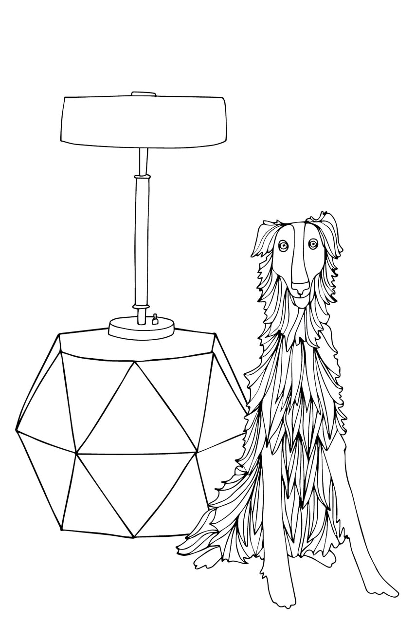 Domestic Divas - Dogs, Cats, Couches & More