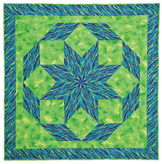 Modern Quilting Designs Print-on-Demand Edition