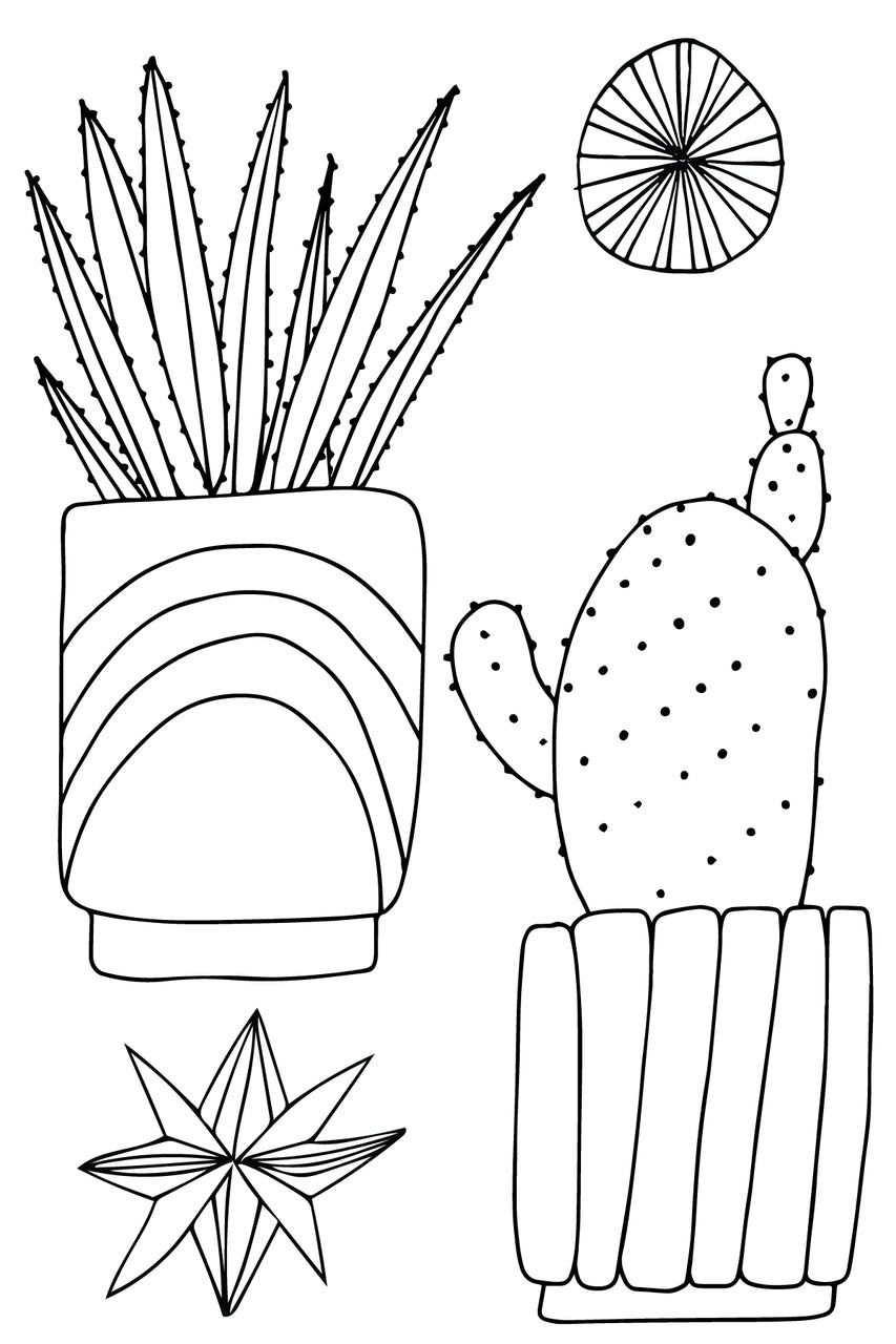 Urban Jungle - Houseplants, Succulents, Cacti & More