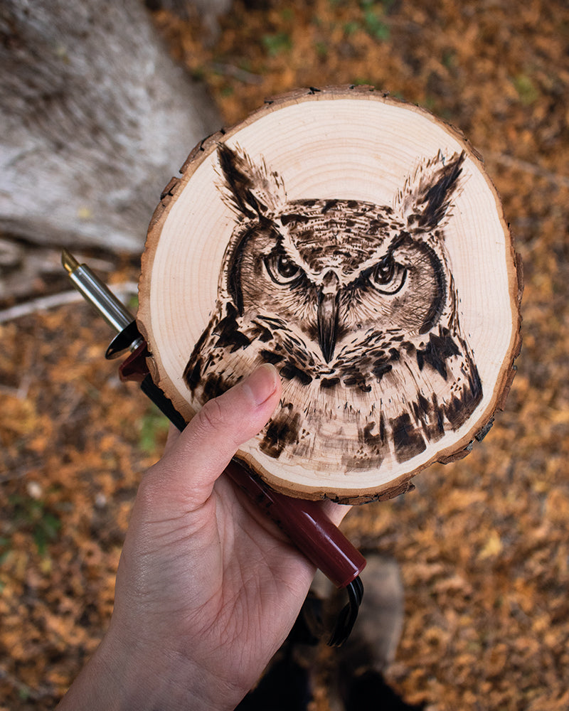 Woodburning Workshop