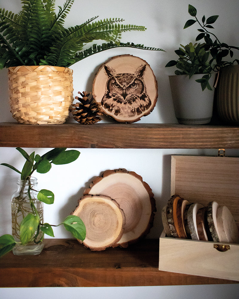 Woodburning Workshop