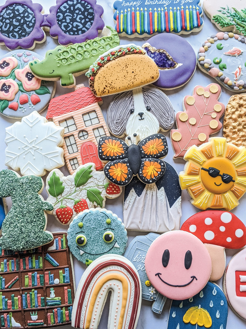 Stash Books' Royal Icing Cookies feature a colorful mix of playful shapes like a rainbow, sun, butterfly, house, alligator, taco, heart, leaf, flower, snowflake, bookshelf, smiley face and more.