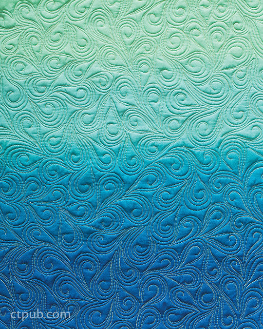 Step-by-Step Free-Motion Quilting Class Plan