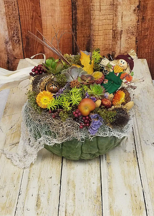 Succulent Decorated Holiday Pumpkins
