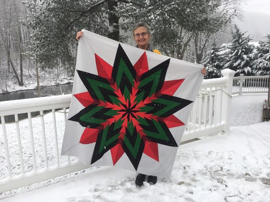 Follow along on the Diamond Star Quilts blog tour!