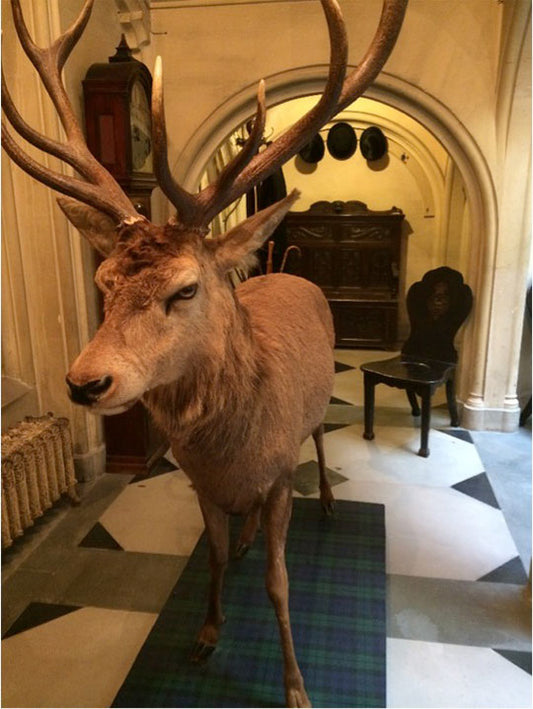 Traditional Scottish Tartans Made Into Modern Quilts