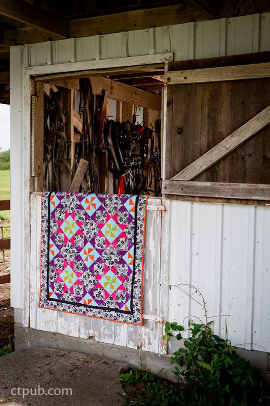 AmishInspired Quilts for Today Digital Download