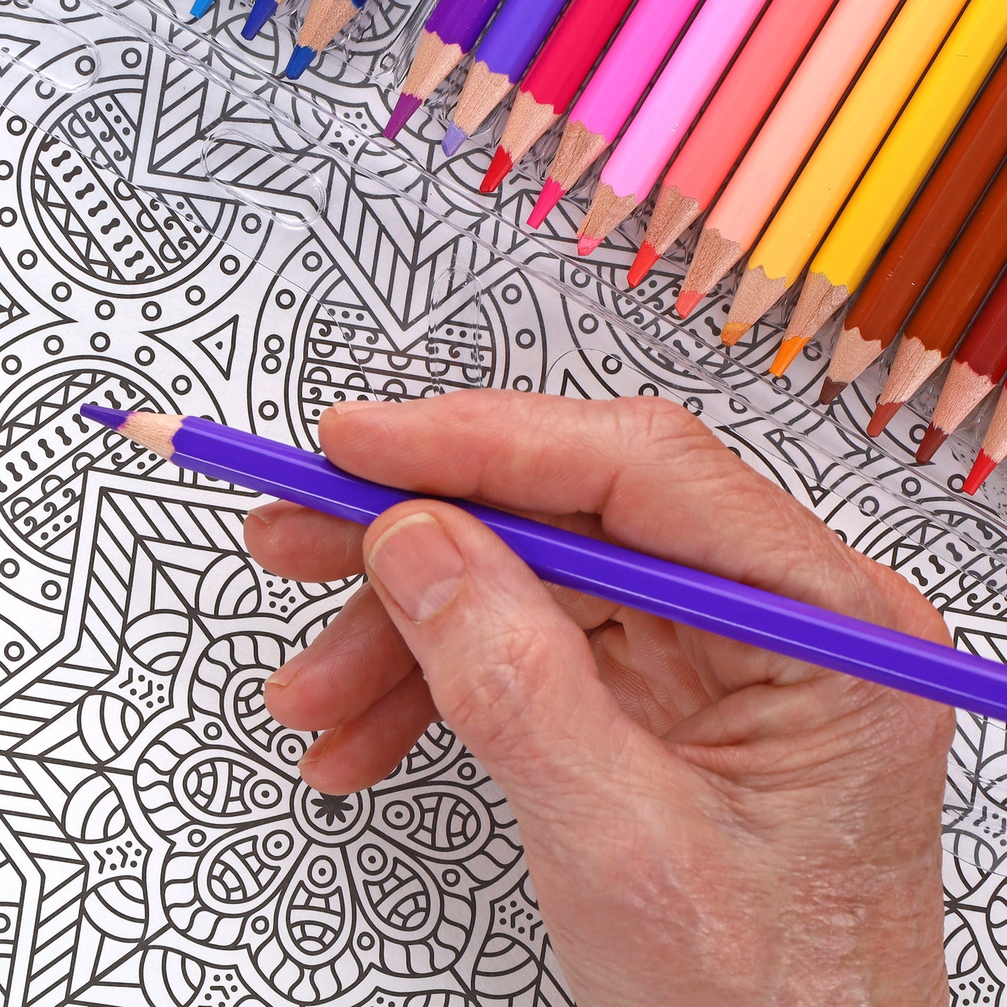 Oriental Wonders Color Art for Everyone