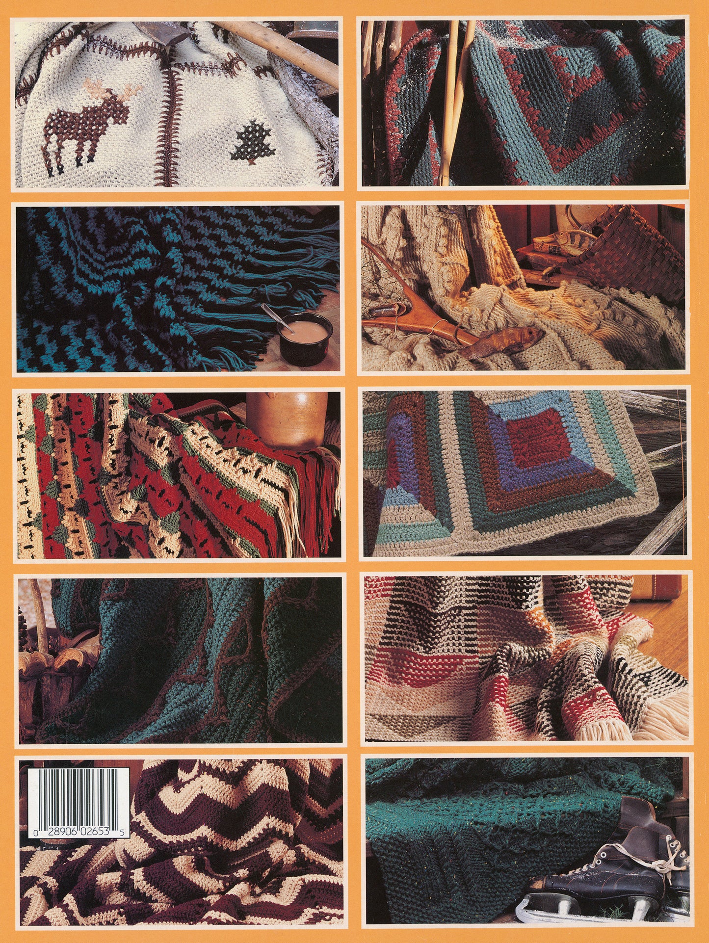 Rustic Warmth by Leisure Arts features 11 cozy, nature-inspired afghans—9 to crochet and 2 to knit—with patterns including a moose motif, chevron designs, and more.
