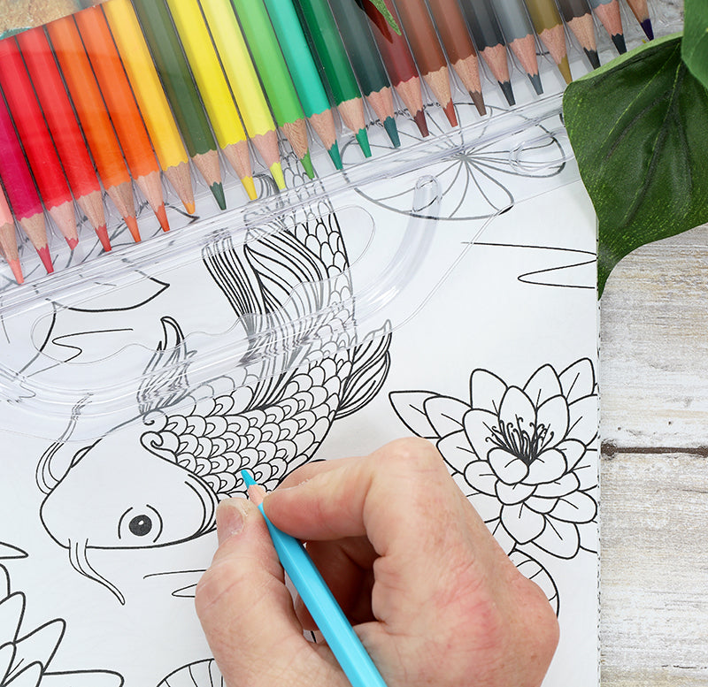 A hand colors a koi fish in the Blooms & Butterflies Coloring Book by Leisure Arts using a light blue pencil. Above, pencils are arranged in rainbow order with a clear plastic stencil. Green leaves decorate the border. Perfect for beginners, includes 80 relaxing designs.