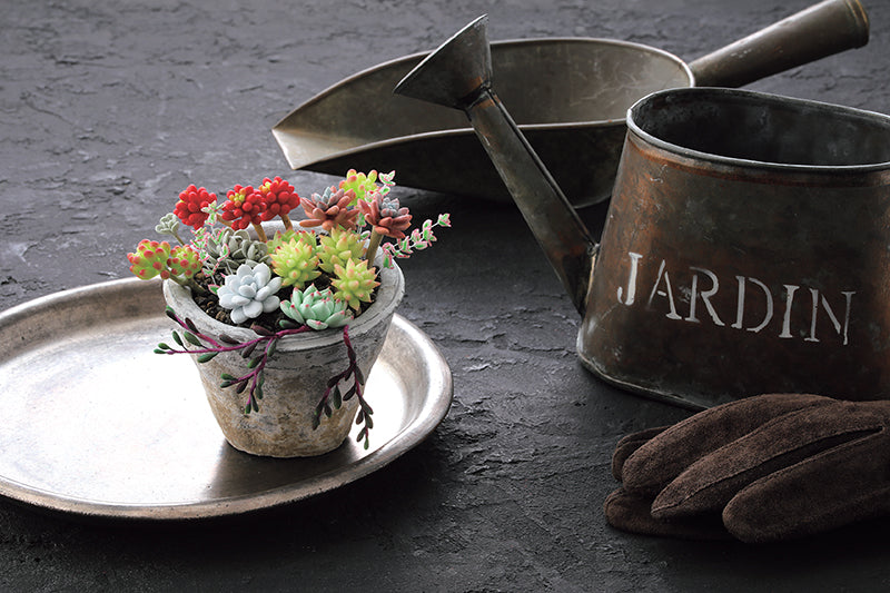 Clay Succulent Garden Digital Download