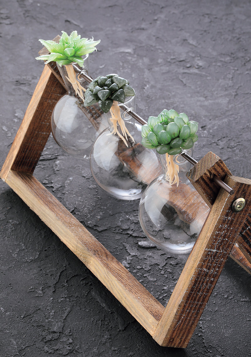 Clay Succulent Garden Digital Download