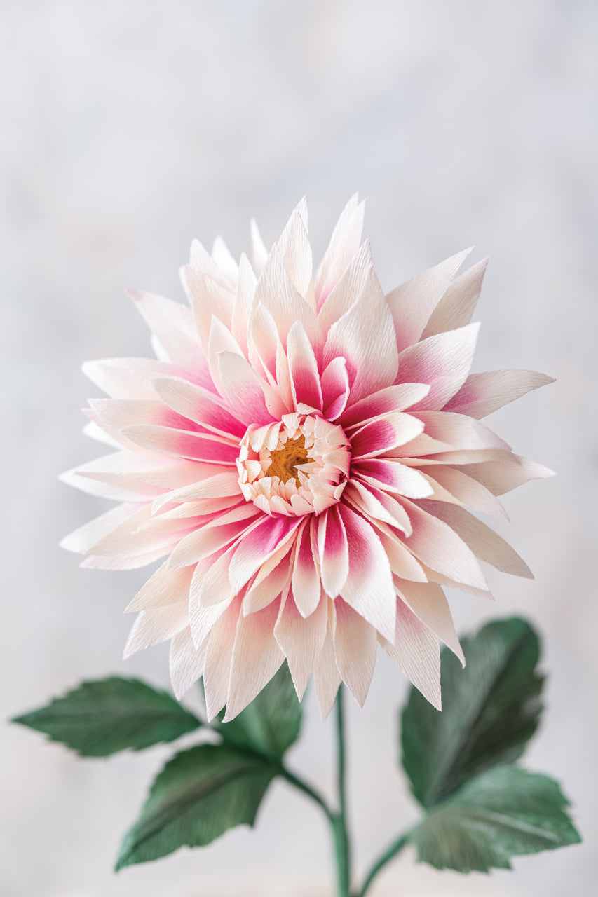 Crafting Paper Flowers Digital Download