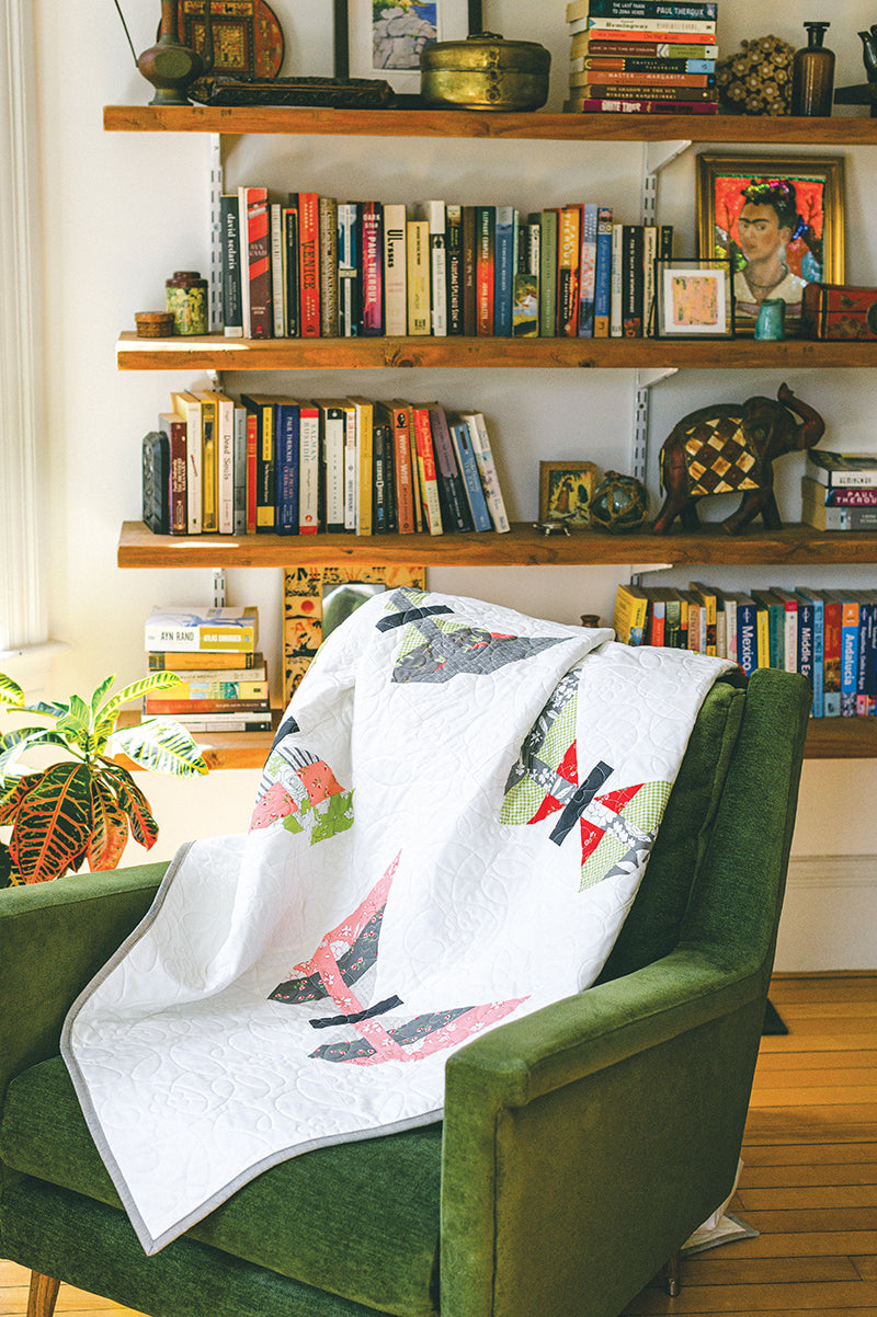 Not-Your-Typical Jelly Roll Quilts Digital Download