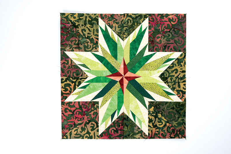 Carol Doak’s Starry Block of the Month