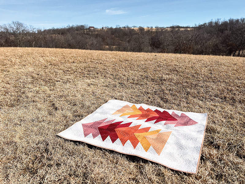 Cozy Quilts for the Modern Home
